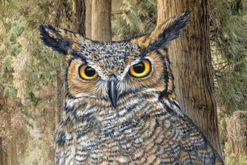 Whimsical Wisdom: Unleash the guardian of the night through owl painting