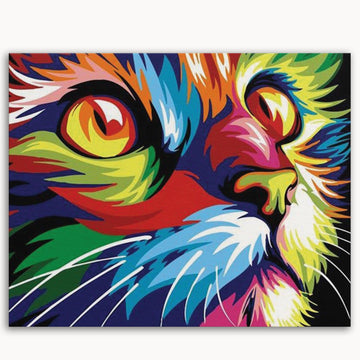 Colorful Cat