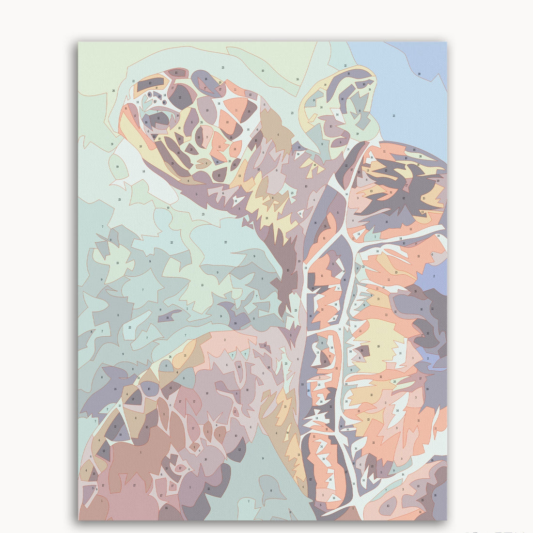 Sea Turtle