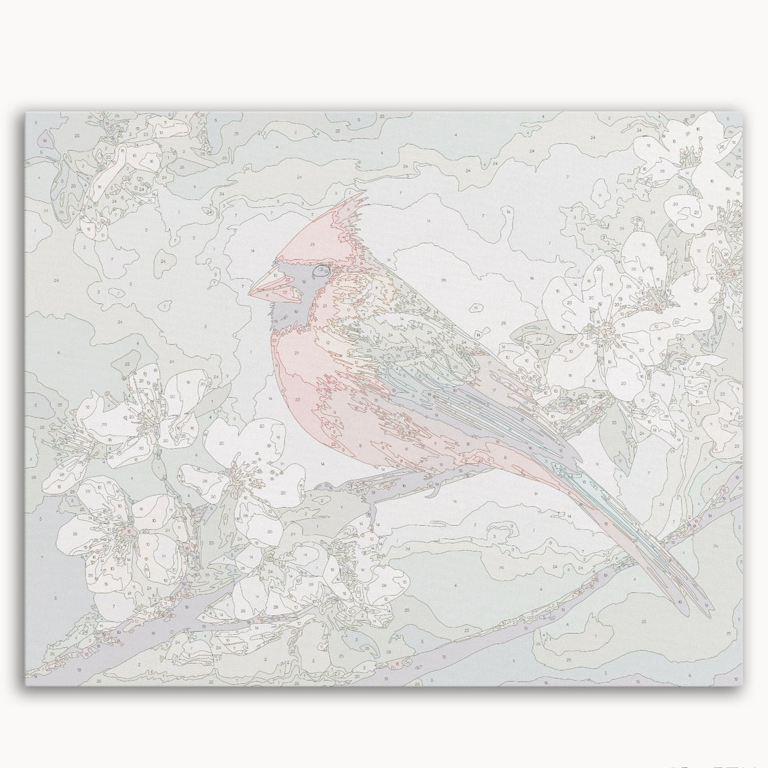 Northern Cardinal