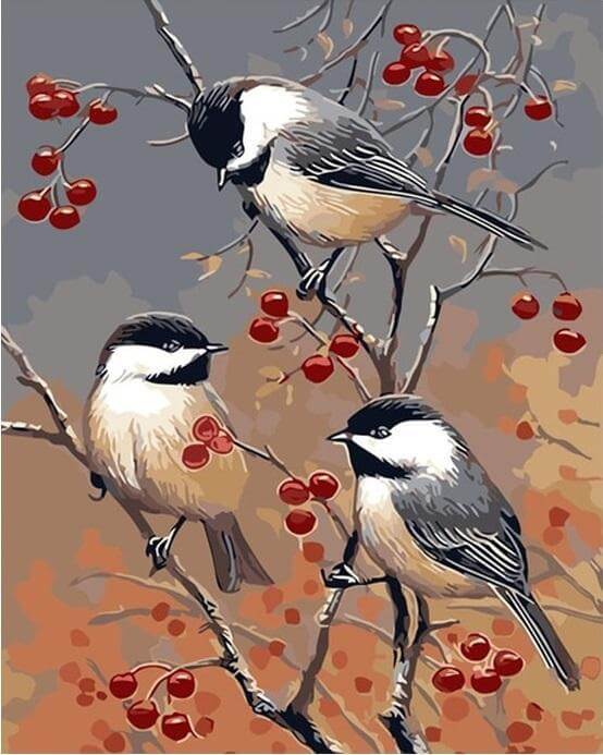 Birds & Red Fruits -  Paint by numbers -  Portrait By Numbers