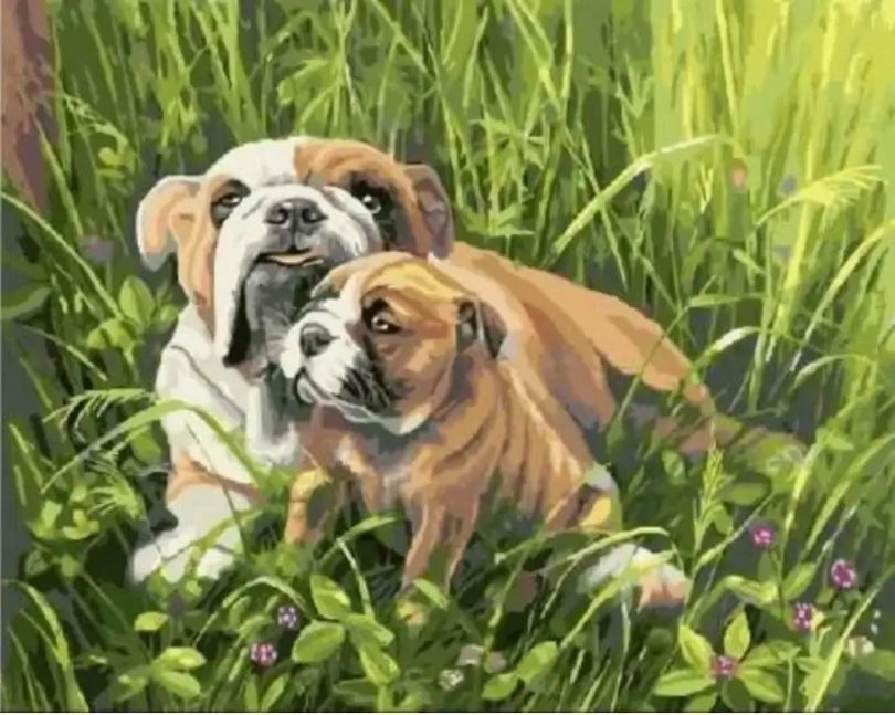 Bulldog with Puppy -  Paint by numbers -  Portrait By Numbers