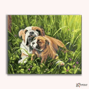 Bulldog with Puppy -  Paint by Numbers Kit for Adults -  Portrait By Numbers