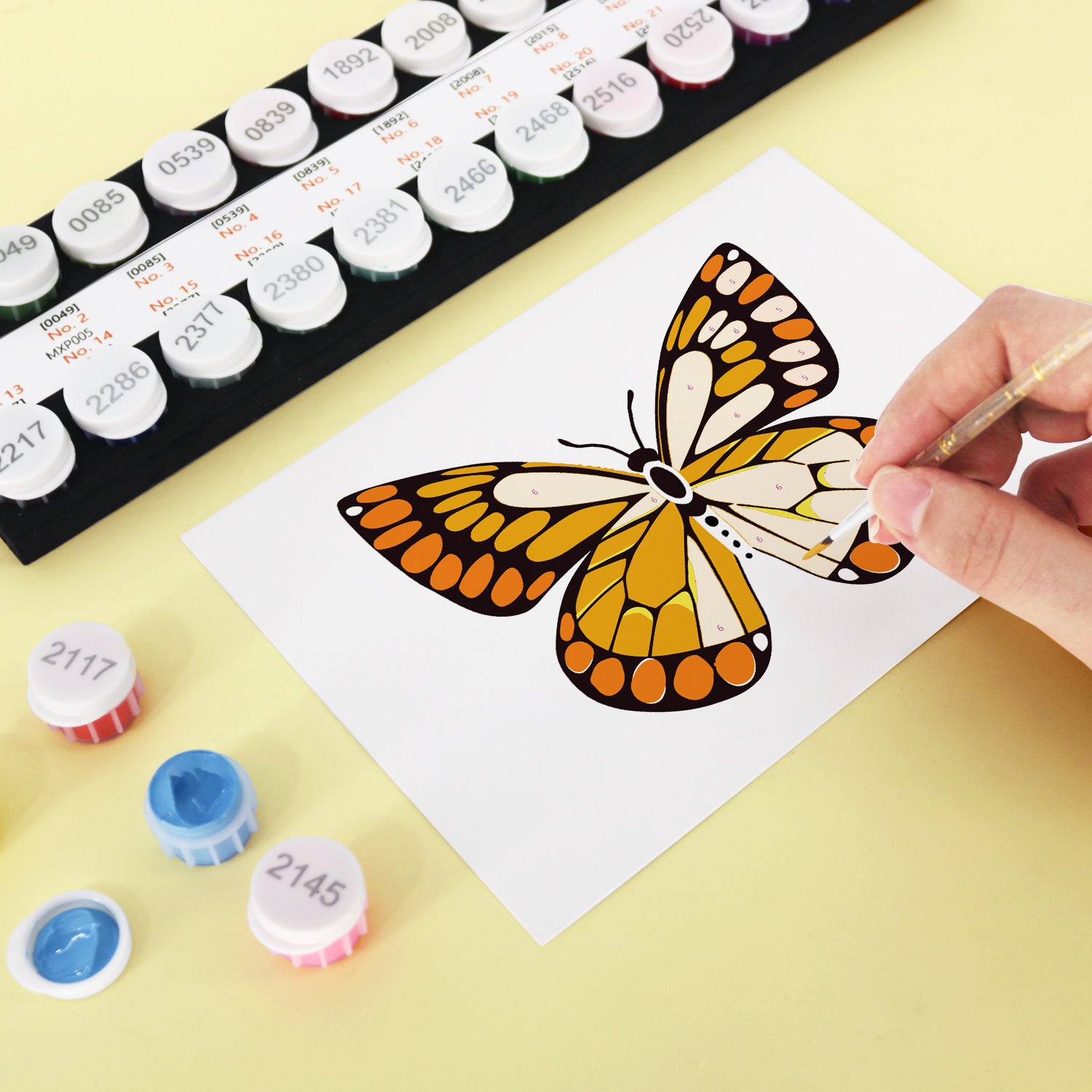 Butterfly Garden Poster Cards Set -  Paint by Numbers Kit for Adults -  Portrait By Numbers