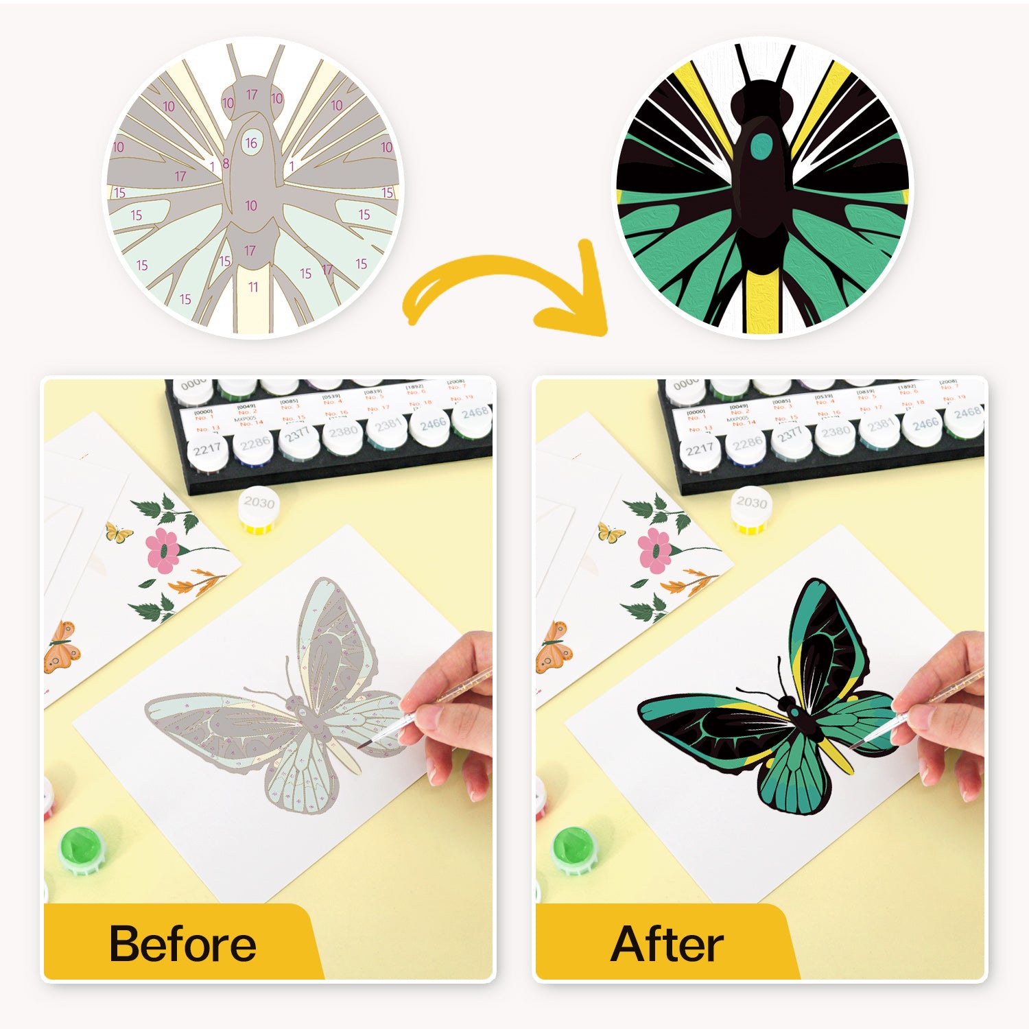 Butterfly Garden Poster Cards Set -  Paint by Numbers Kit for Adults -  Portrait By Numbers