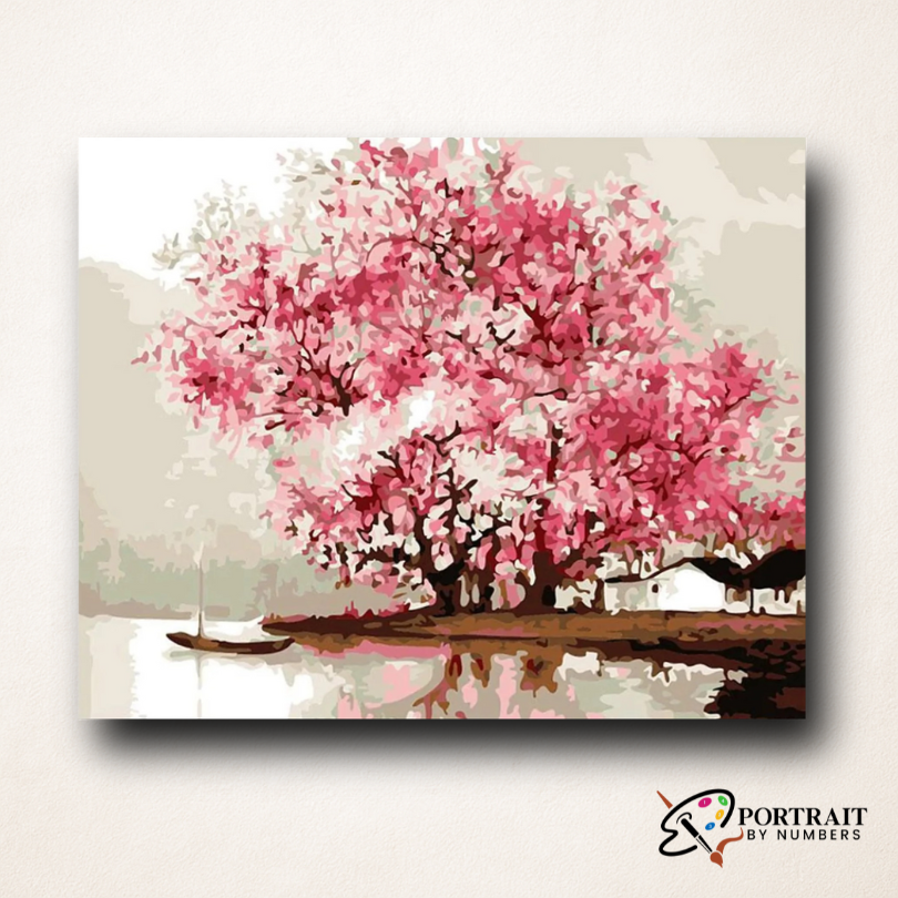 Cherry Blossoms