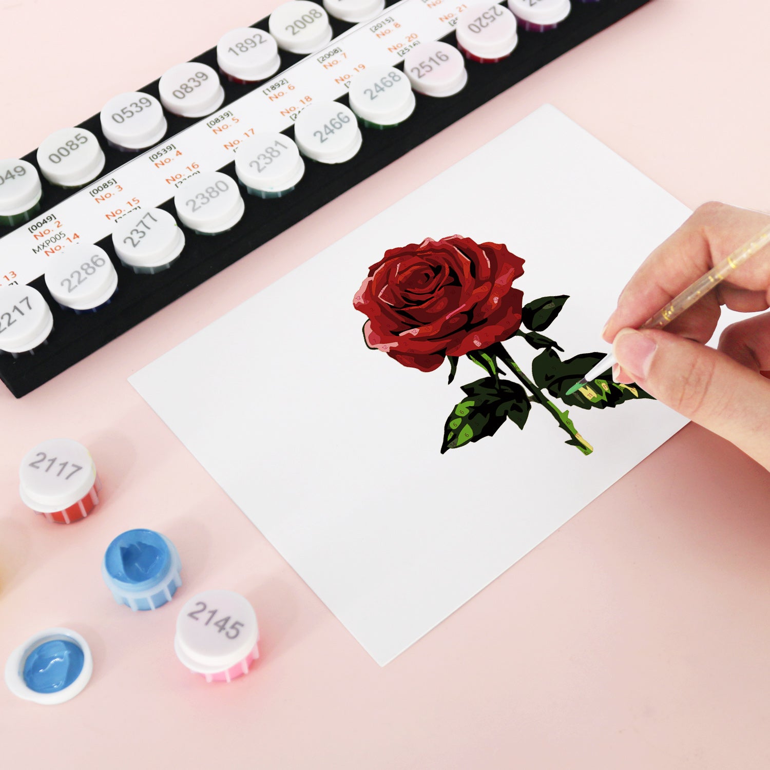 Chic Muse Poster Cards Set -  Paint by Numbers Kit for Adults -  Portrait By Numbers