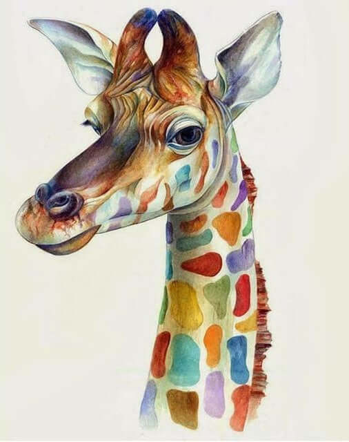 Colorful Giraffe