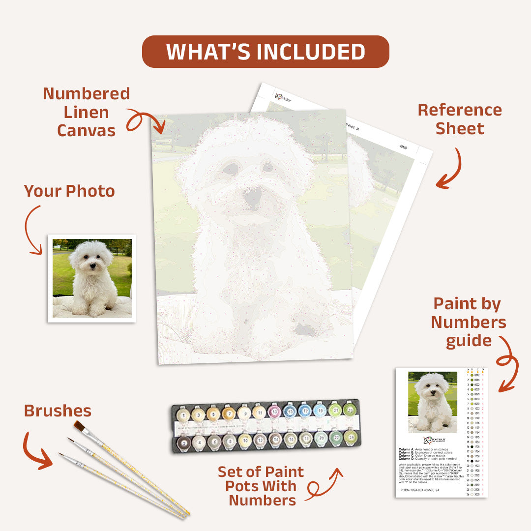 Custom Paint by Numbers Kit -  Paint by Numbers Kit for Adults -  Portrait By Numbers