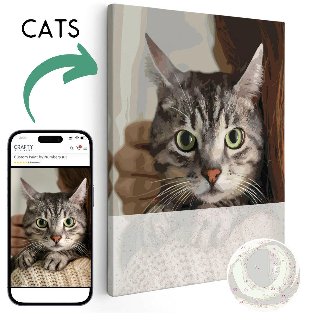 Pet Custom Painting | Custom Painting Kit | Portrait By Numbers