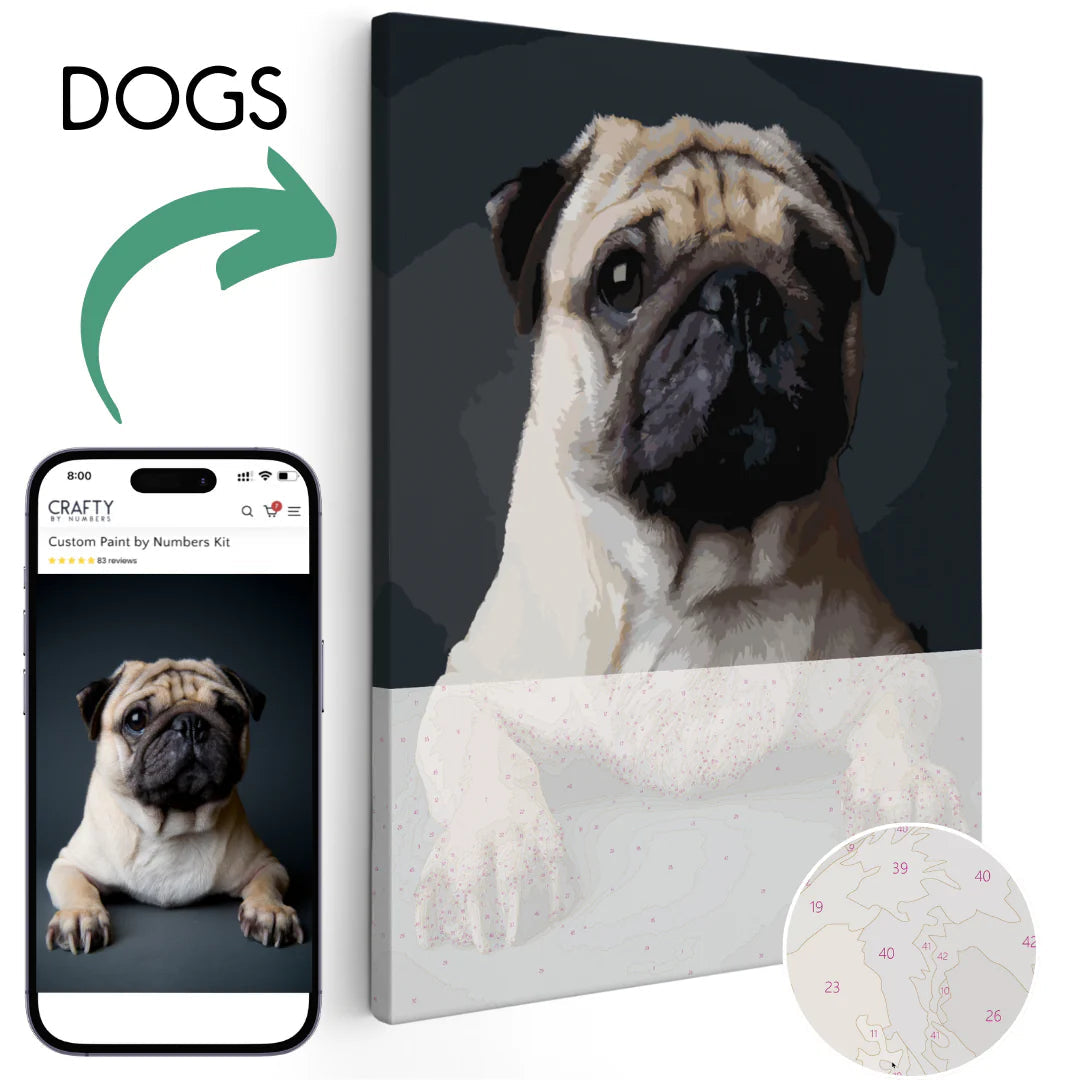 Pawtrait - Paint Your Pet - Custom Paint by Numbers Kit