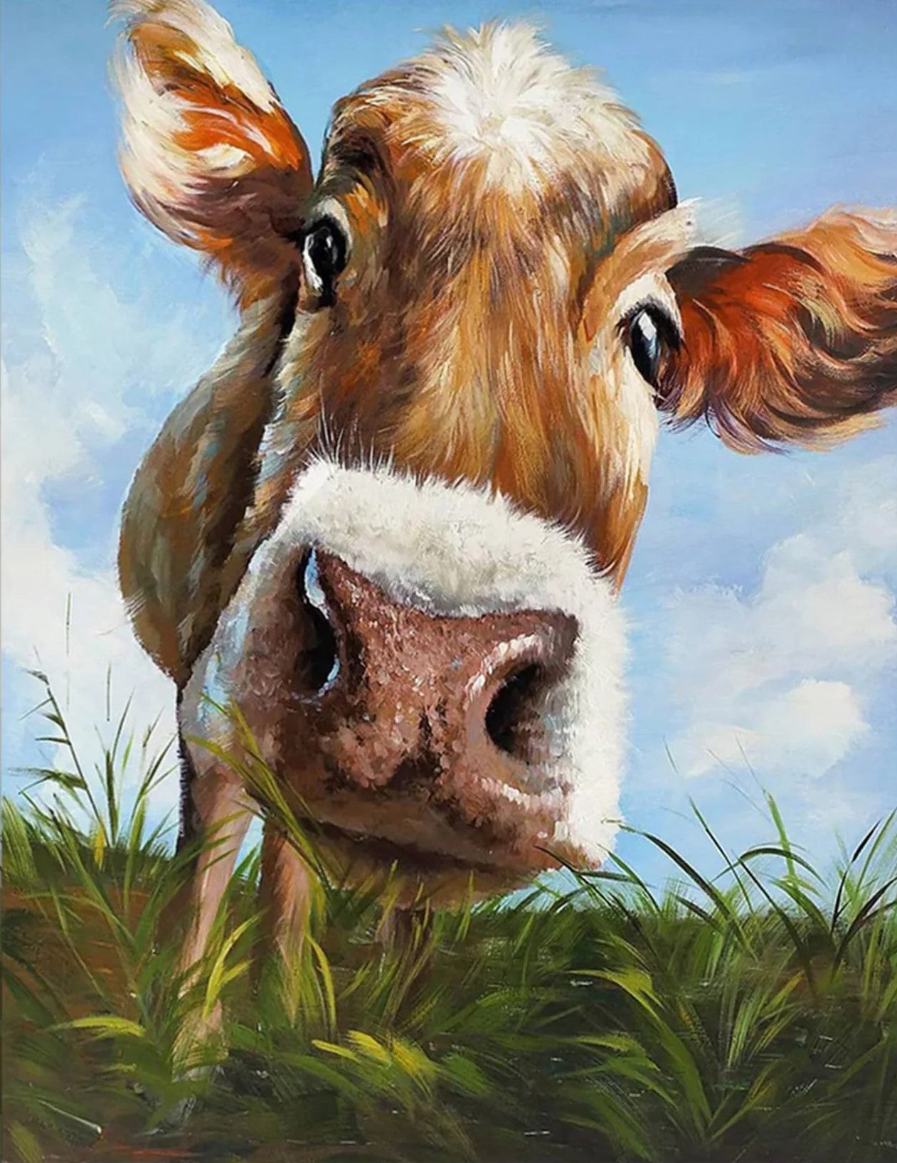 Cute Cow