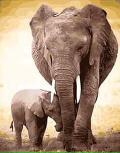 Father and Son Mammoths