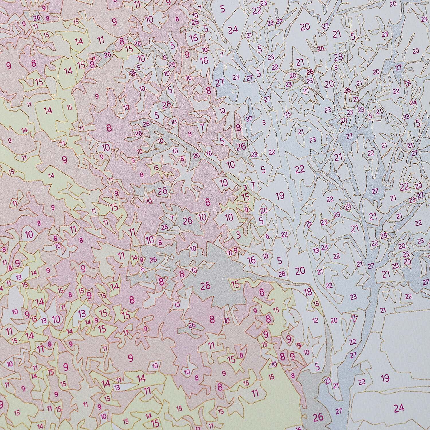 Feeding Hummingbird -  Paint by numbers Kit -  Portrait By Numbers