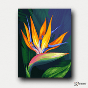 Flower Bird of Paradise -  Paint by Numbers Kit for Adults -  Portrait By Numbers