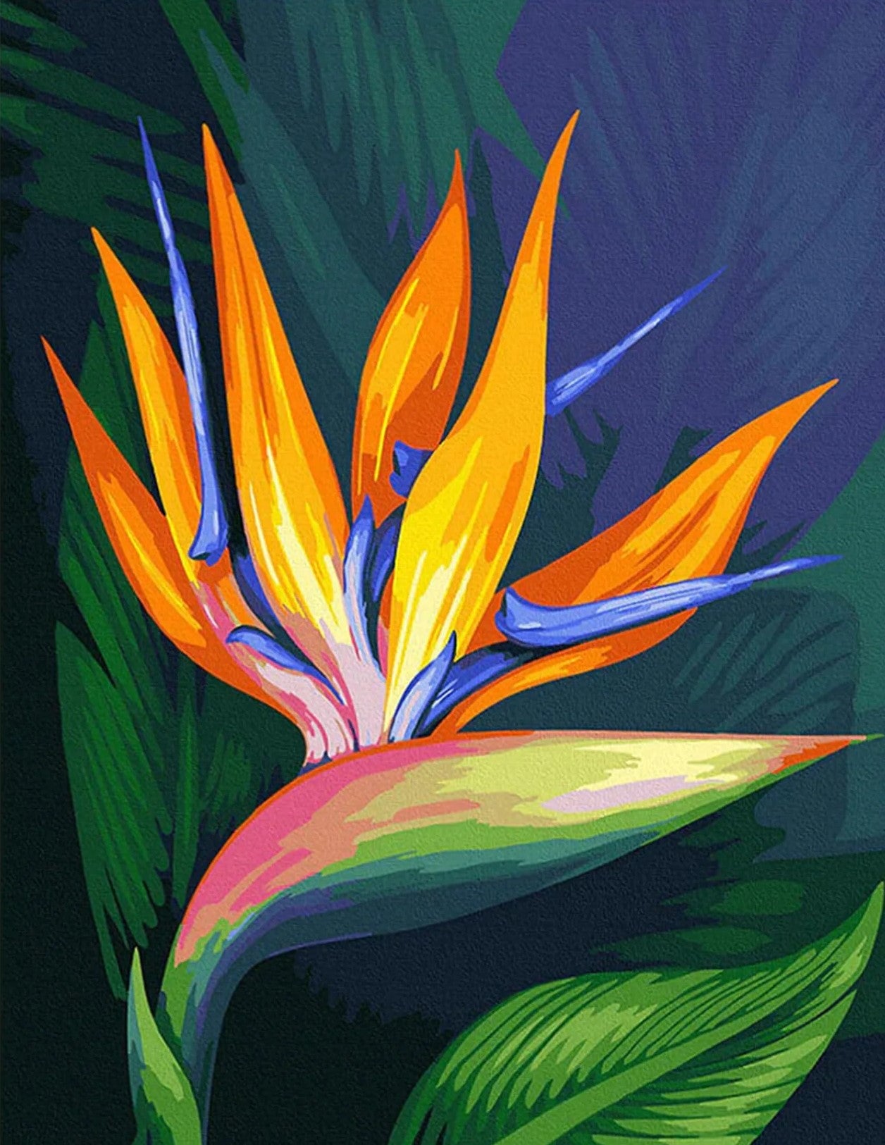 Flower Bird of Paradise