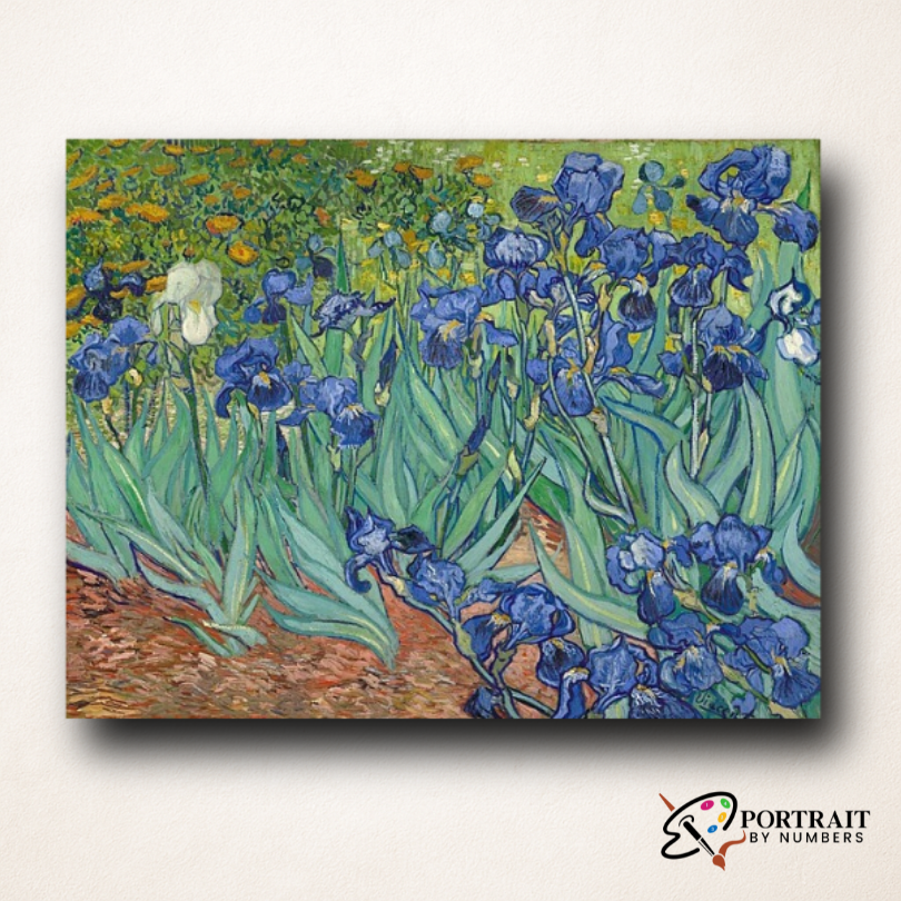 Irises - Vincent Van Gogh -  Paint by numbers -  Portrait By Numbers