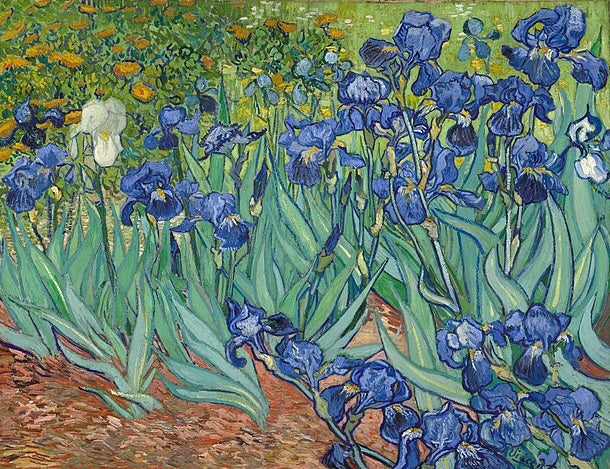 Irises - Vincent Van Gogh -  Paint by numbers -  Portrait By Numbers