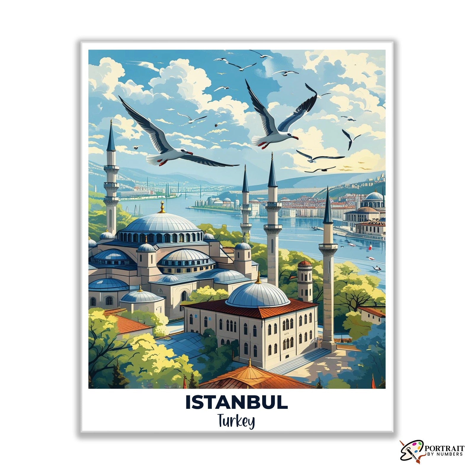 Istanbul Travel Poster -  Paint by Numbers Kit for Adults -  Portrait By Numbers