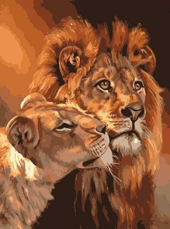 Lion & Lioness -  Paint by numbers -  Portrait By Numbers
