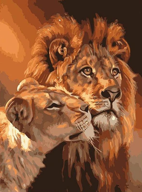 Lion & Lioness