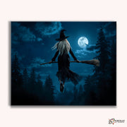 Midnight Flight -  Paint by Numbers Kit for Adults -  Portrait By Numbers