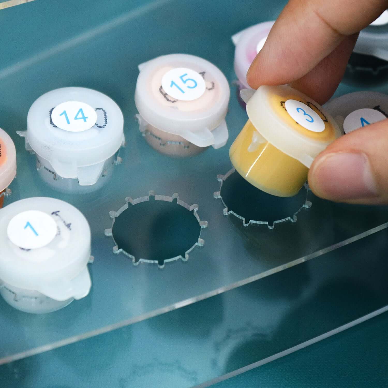 Multi-Size Paint Pot Holder -  Paint by Numbers Kit for Adults -  Portrait By Numbers