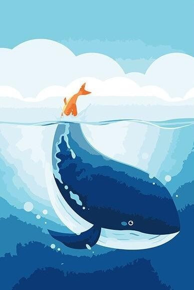 Orange Whale Tail
