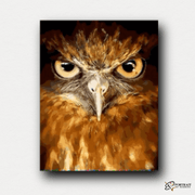 Owl Eyes -  Paint by Numbers Kit for Adults -  Portrait By Numbers
