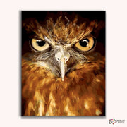 Owl Eyes -  Paint by Numbers Kit for Adults -  Portrait By Numbers