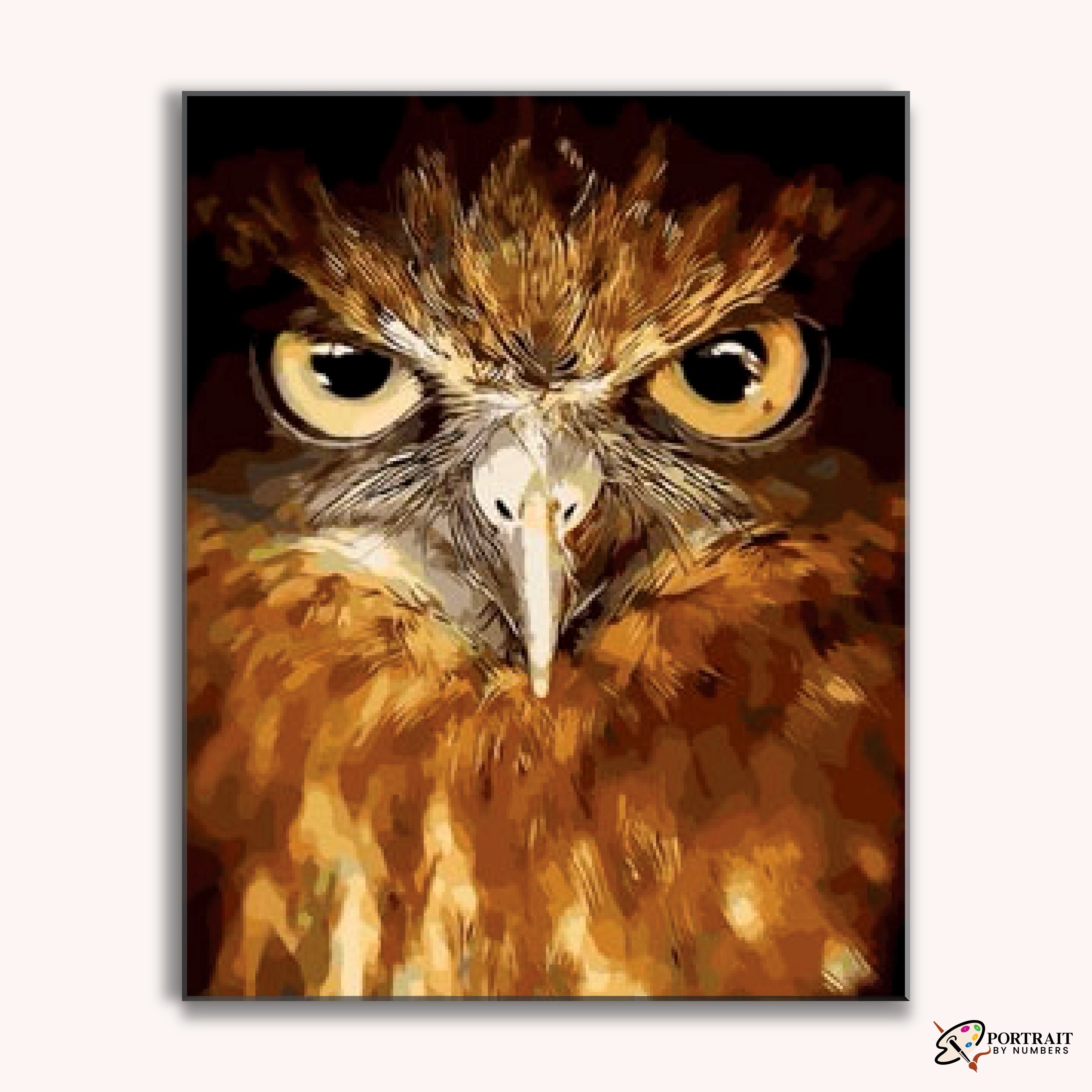 Owl Eyes -  Paint by Numbers Kit for Adults -  Portrait By Numbers