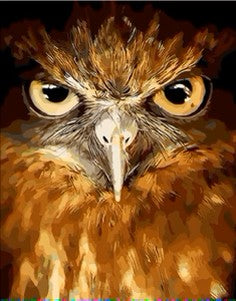 Owl Eyes
