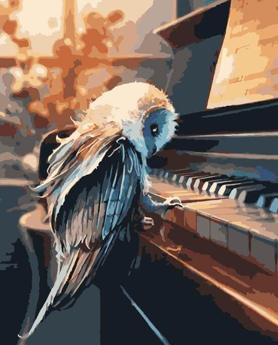 Owl Playing Piano -  Paint by numbers Kit -  Portrait By Numbers
