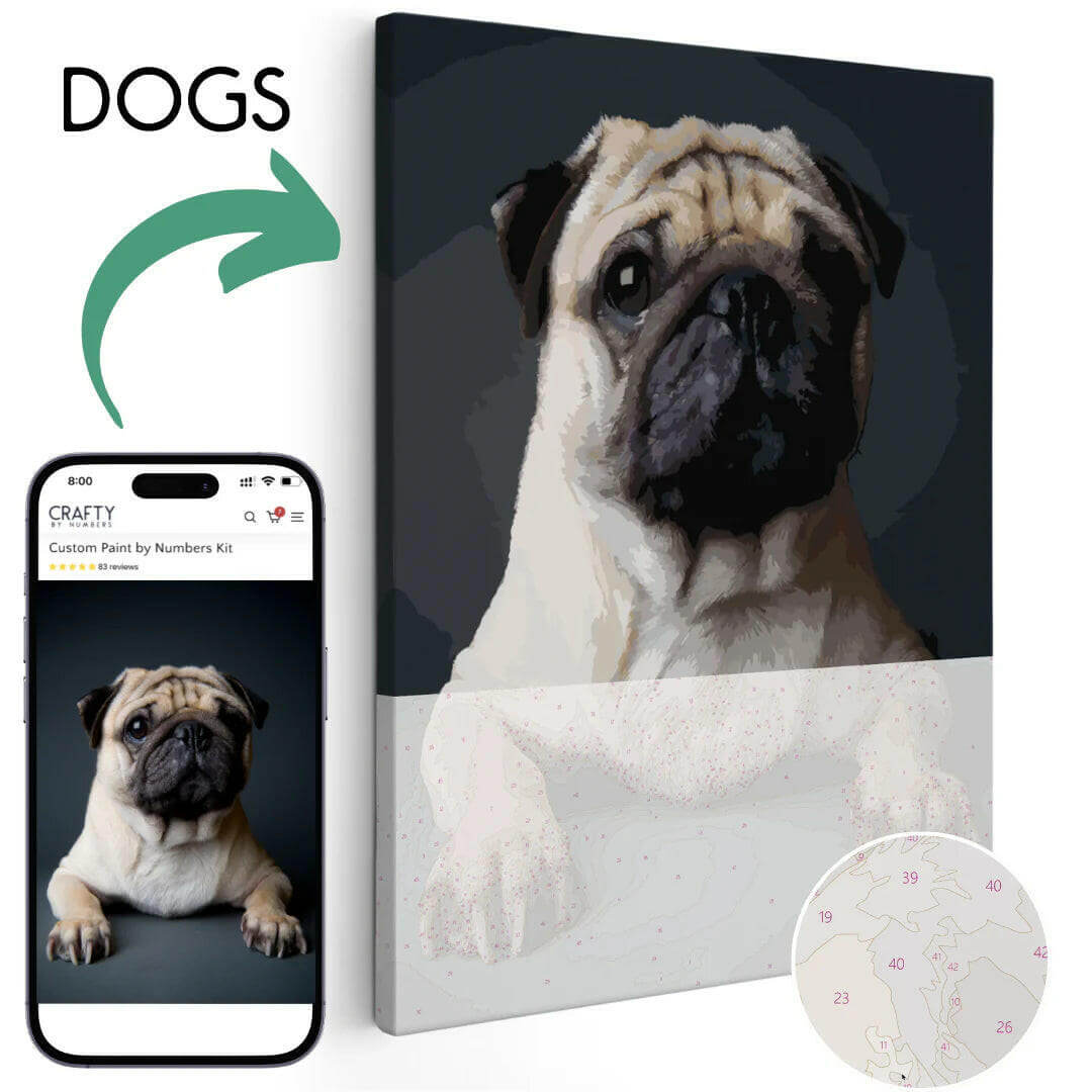 Portrait - Paint Your Pet - Custom Paint by Numbers Kit -  Paint by numbers -  Portrait By Numbers