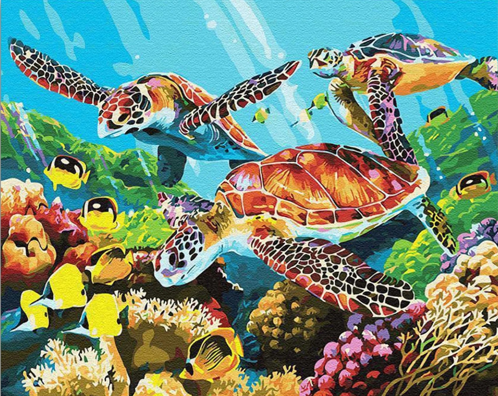 Sea Turtle Family