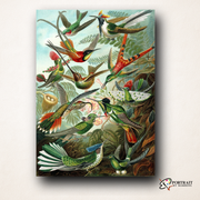 Trochilidae (Hummingbirds) - Ernst Haeckel -  Paint by numbers -  Portrait By Numbers