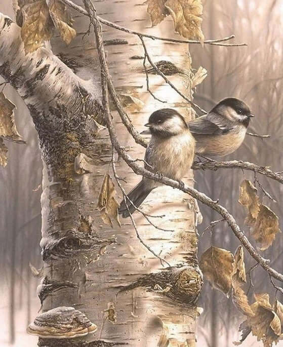 Two Friend Birds on Birch Tree -  Paint by numbers Kit -  Portrait By Numbers