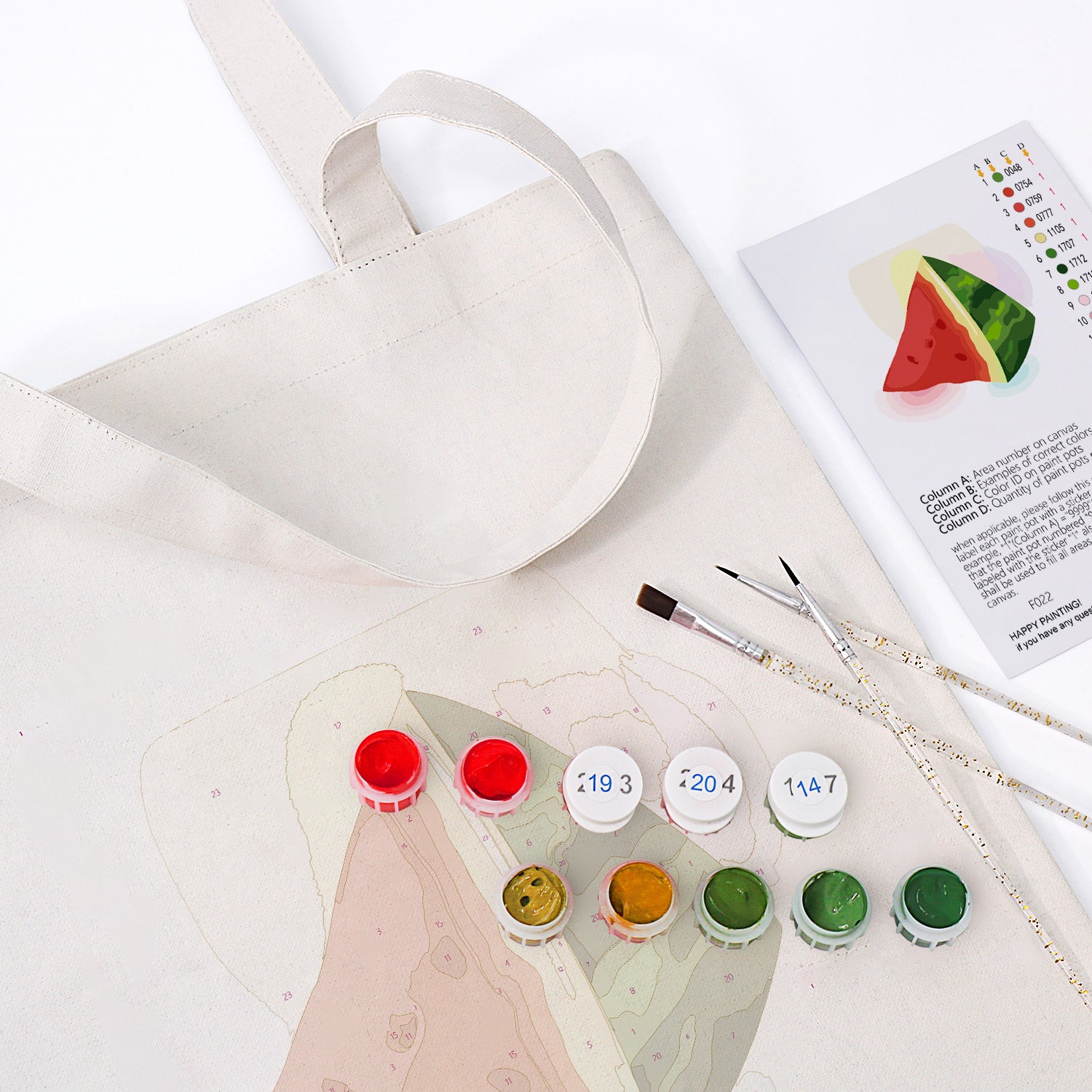 Watermelon Pop Bag -  Paint by Numbers Kit for Adults -  Portrait By Numbers