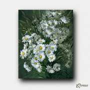 White Roses Daisies -  Paint by Numbers Kit for Adults -  Portrait By Numbers