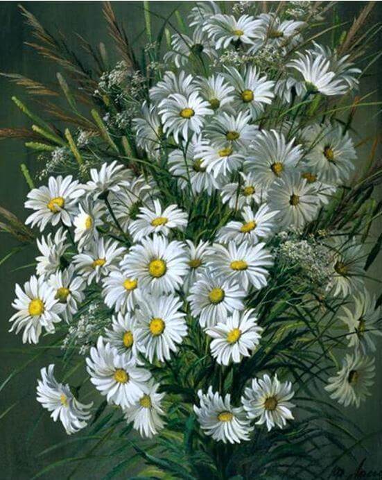 Daisies Painting | White Daisies Painting | Portrait By Numbers