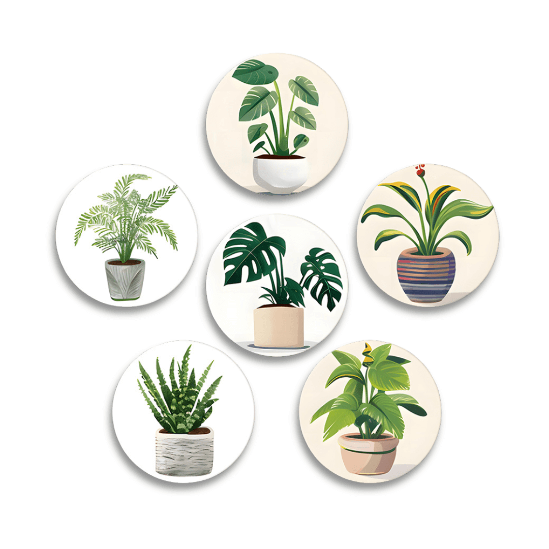 Green Haven (Set of 6)