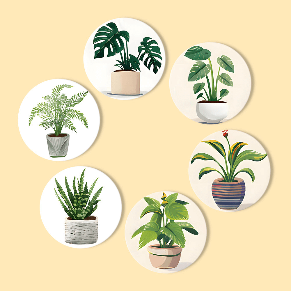 Green Haven (Set of 6)