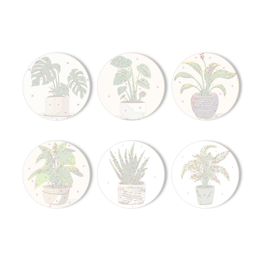 Green Haven (Set of 6)