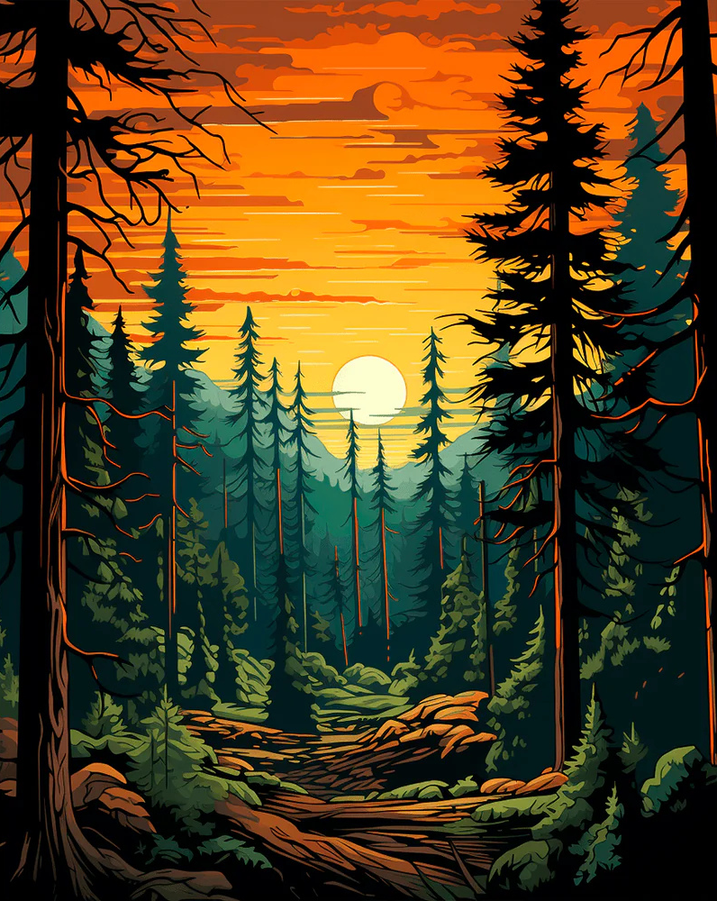 Tall Trees Forest